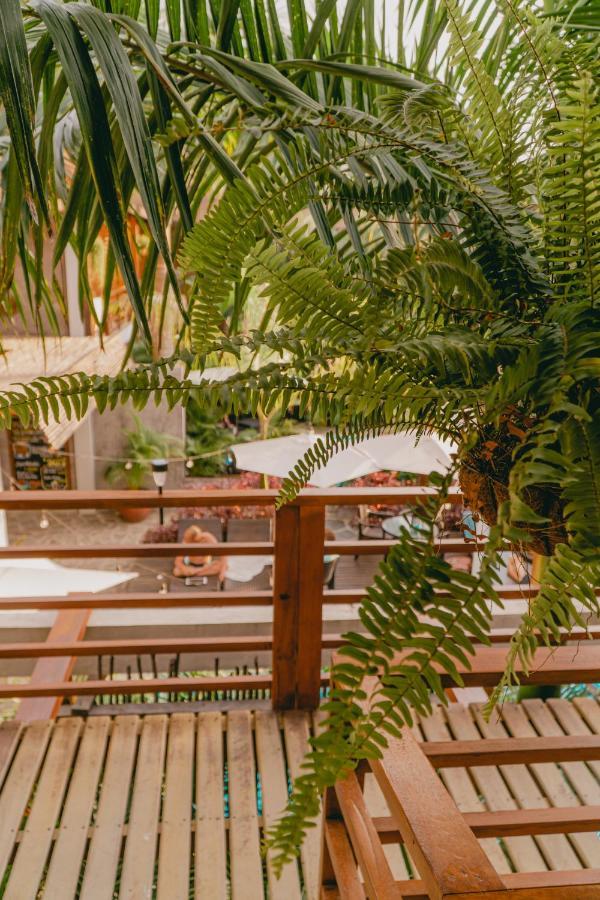 Villa Eden ปาโลมิโน ภายนอก รูปภาพ
